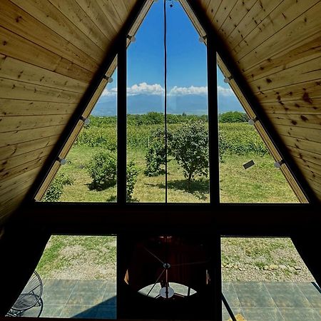 Villa Tsinandali Exteriér fotografie