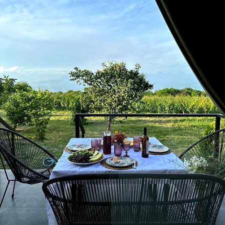 Villa Tsinandali Exteriér fotografie