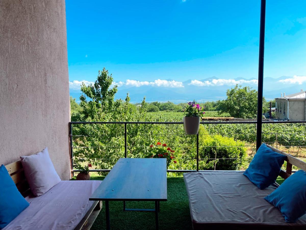 Villa Tsinandali Exteriér fotografie