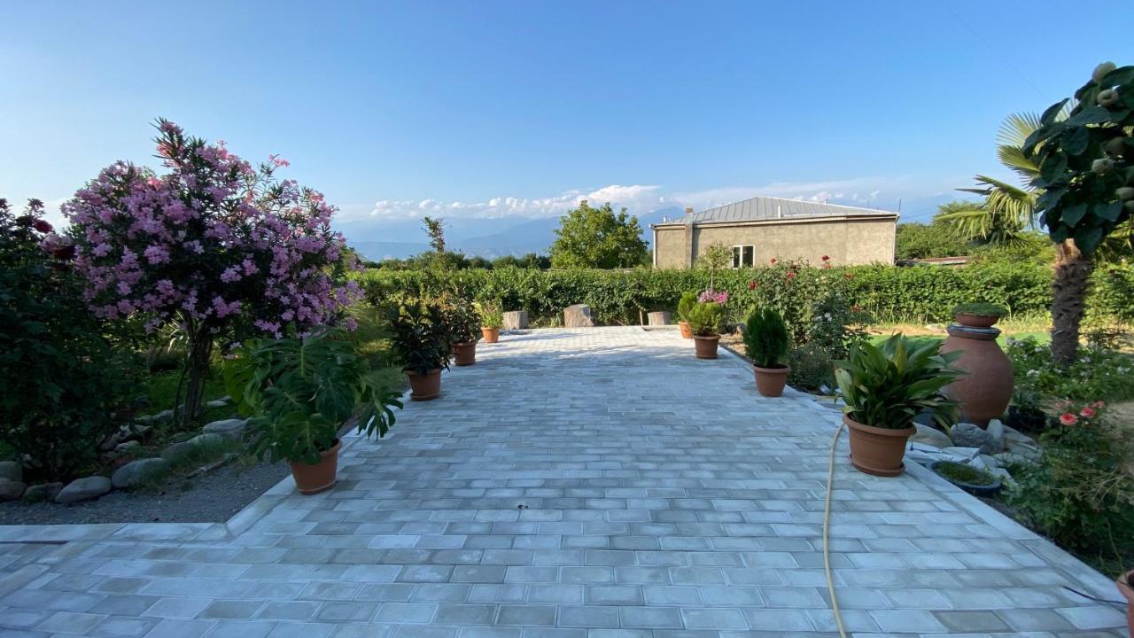 Villa Tsinandali Exteriér fotografie