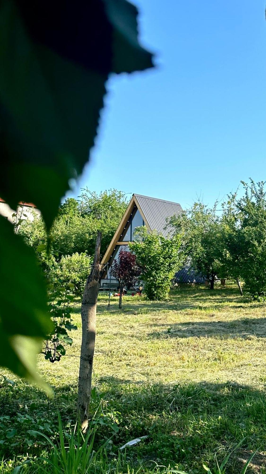 Villa Tsinandali Exteriér fotografie