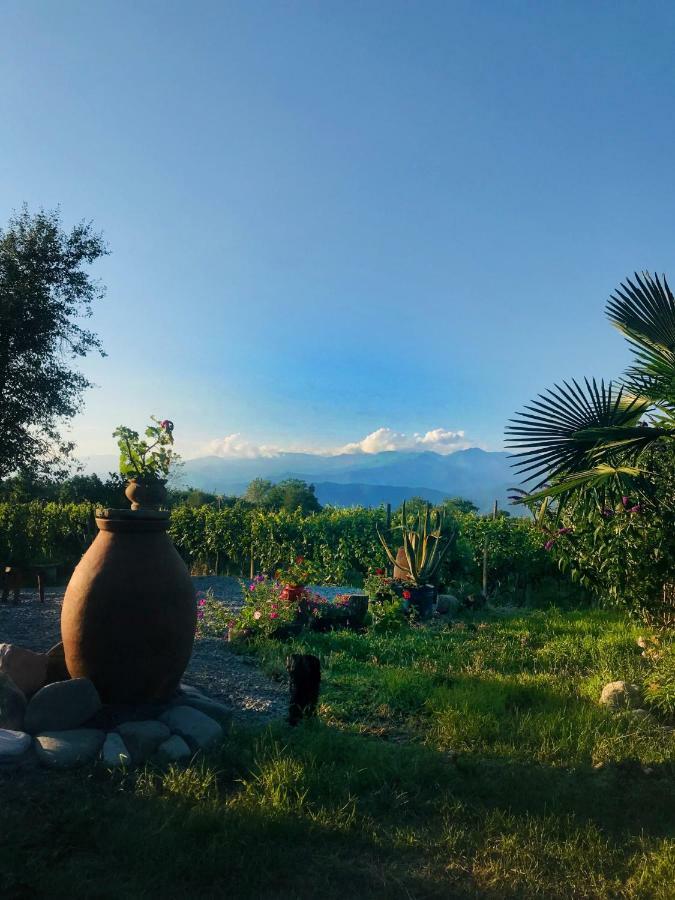 Villa Tsinandali Exteriér fotografie
